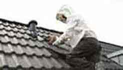 Ein Schädlingsbekämpfer der PCS GmbH bekämpft, mit Wespennest in der Hand, bei der Bekämpfung von Wespen unter einem Hausdach.